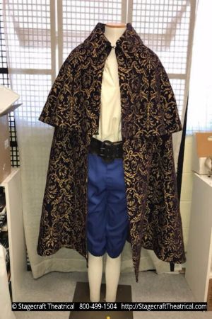 6th Beauty and the Beast Costume Rental Package  Supercal Supercalifragilistic