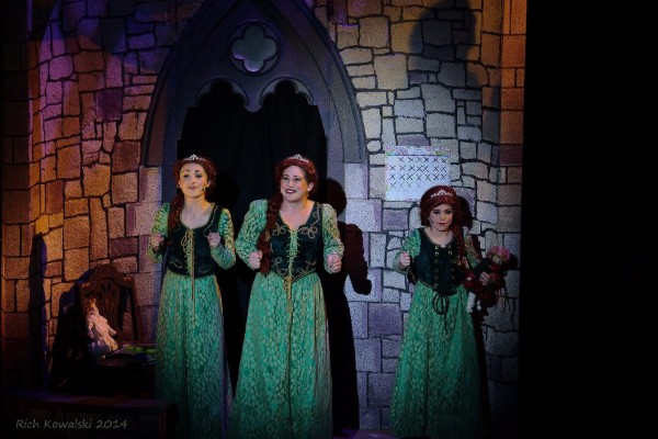  Shrek Set Rental pictures - Stagecraft Theatrical
