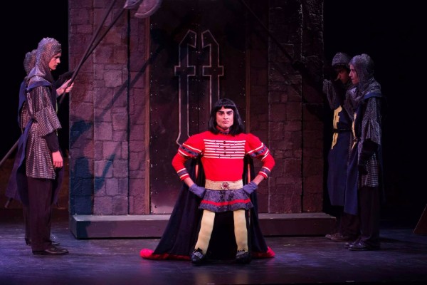  Shrek Set Rental pictures - Stagecraft Theatrical