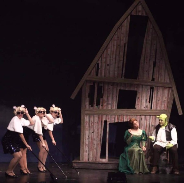  Shrek Set Rental pictures - Stagecraft Theatrical