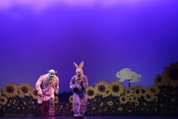  Shrek Set Rental pictures - Stagecraft Theatrical